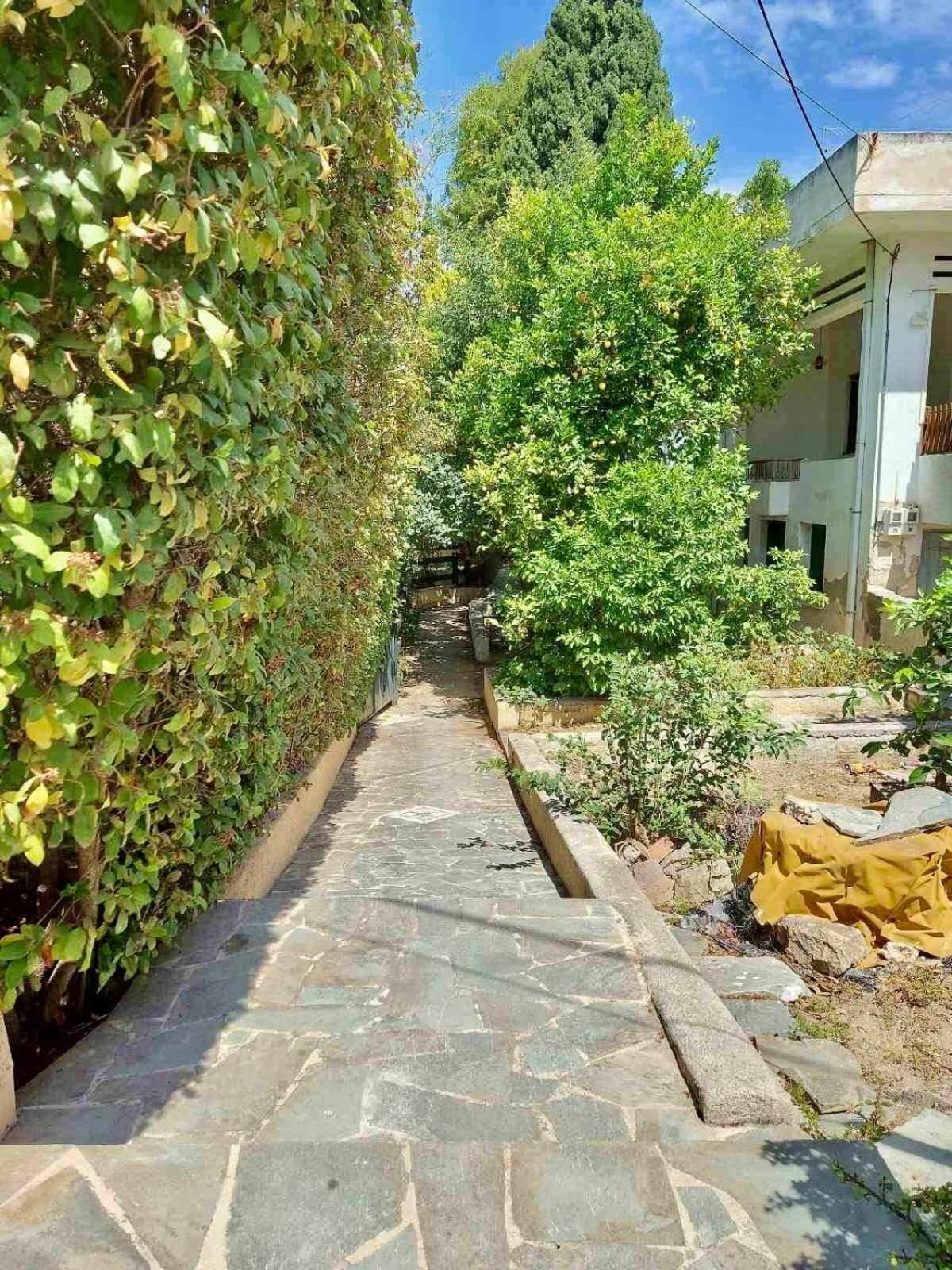 Utopia Suites 3 Aegina Dış mekan fotoğraf
