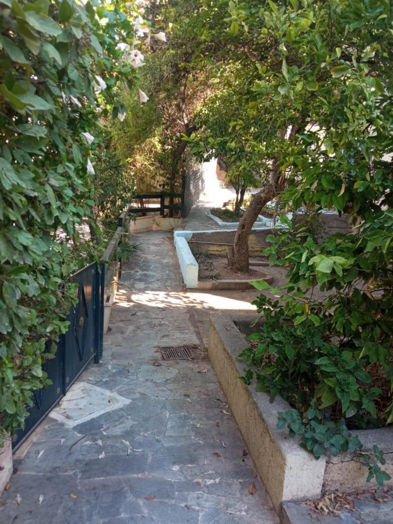 Utopia Suites 3 Aegina Dış mekan fotoğraf
